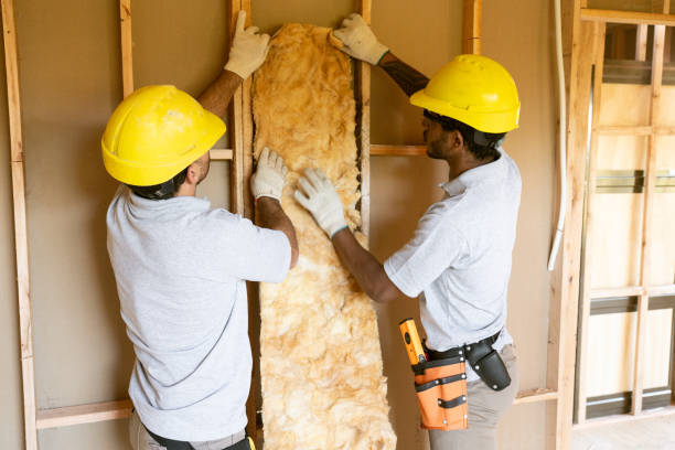 Best Insulation Inspection Services  in Southern Shops, SC