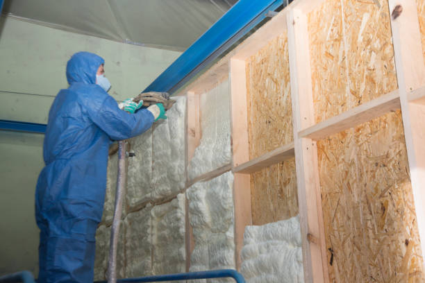 Best Local Insulation Services  in Southern Shops, SC