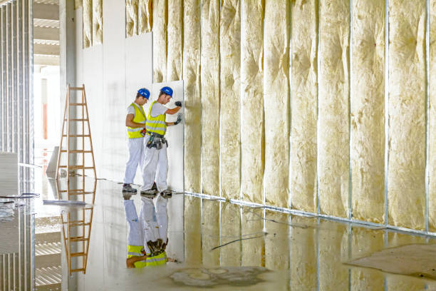 Insulation Repair Services in Southern Shops, SC